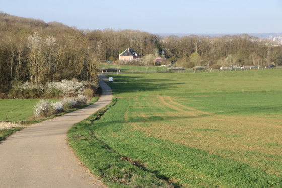 Chemin - route en descente vers la route D83