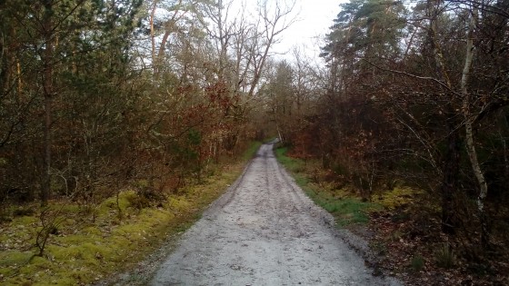 Chemin sablonneux