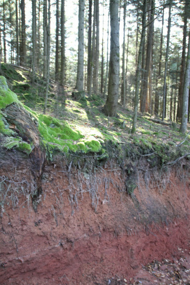chemin semblant creusé dans la terre