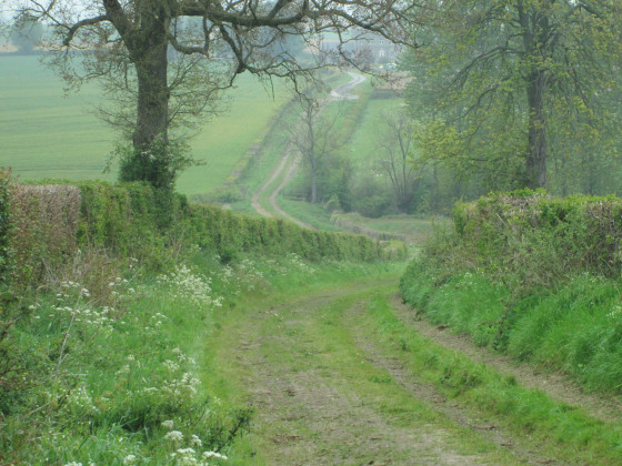 Chemin serpentant dans le bocage
