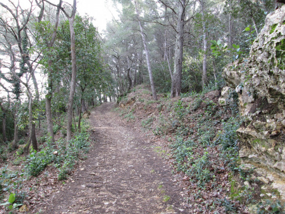 Chemin sous le sanctuaire