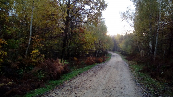 Chemin stabilisé