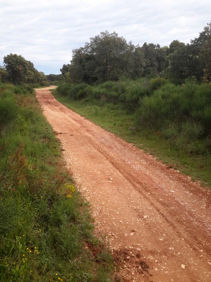 Chemin sur le plateau