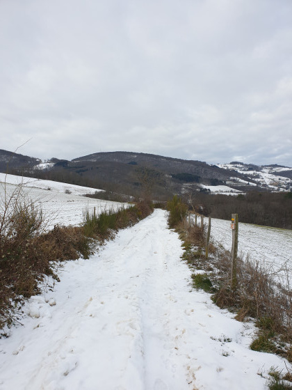 Chemin sur le plateau