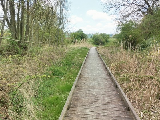Chemin sur pilotis
