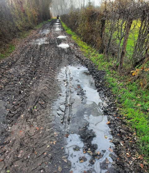 Chemin terreux et ses flaques gelées