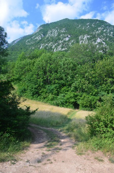 Chemin traversant la prairie et menant aux batteries