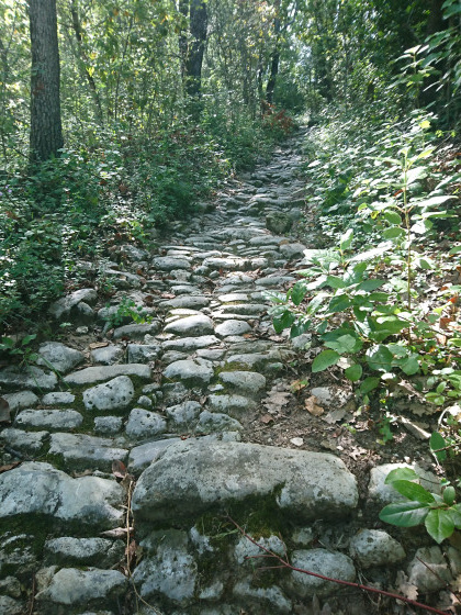 chemin tr&egrave;s joliment empierr&eacute;