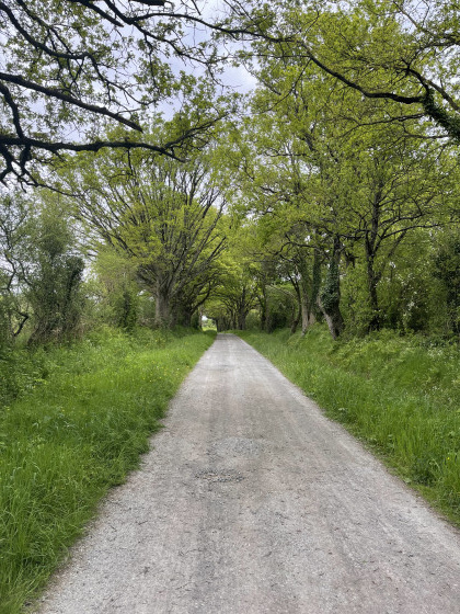 Chemin très ombragée et agréable.