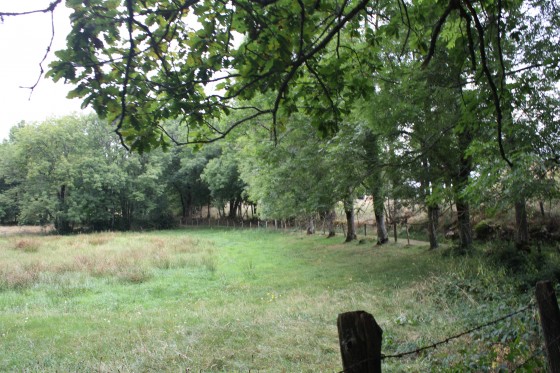 Chemin (un peu après le hameau de La Molier)