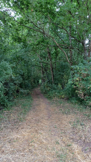 chemin vasl&eacute;en