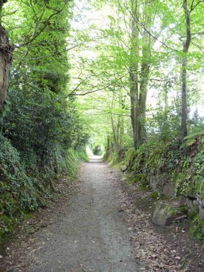 Chemin vers Hennebont