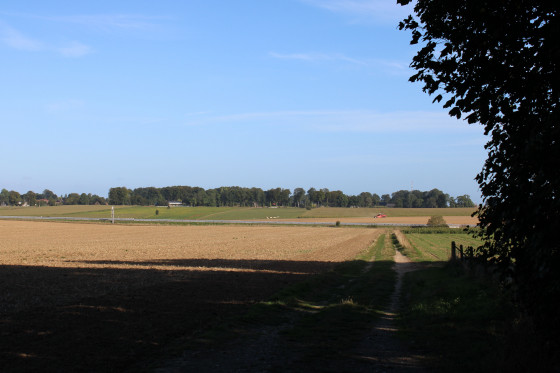 Chemin vers l\'autoroute