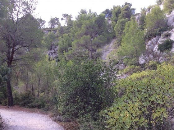 Chemin Vers la Calanque d\'En Vau