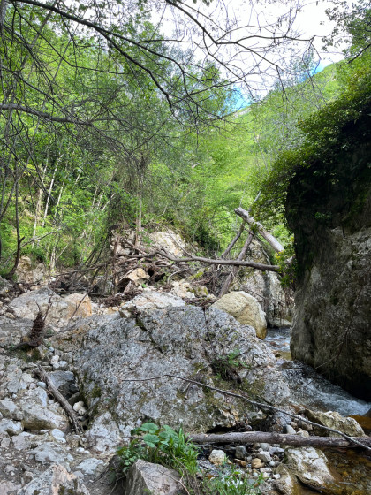 chemin vers la cascade