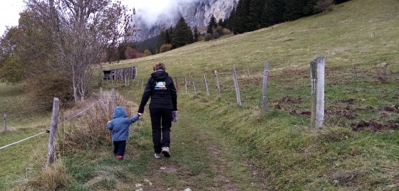 Chemin vers la clairière du Bois de la Corne
