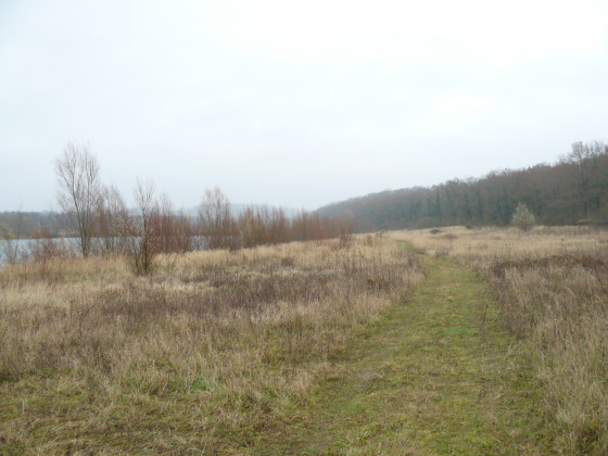 Chemin vers la ferme de Chivres