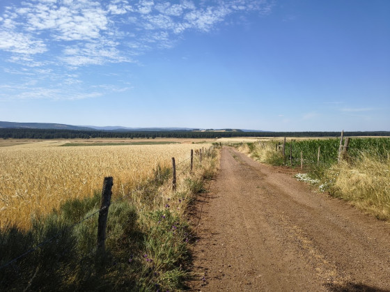 Chemin vers Larzalier