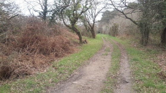 Chemin vers le Boulen