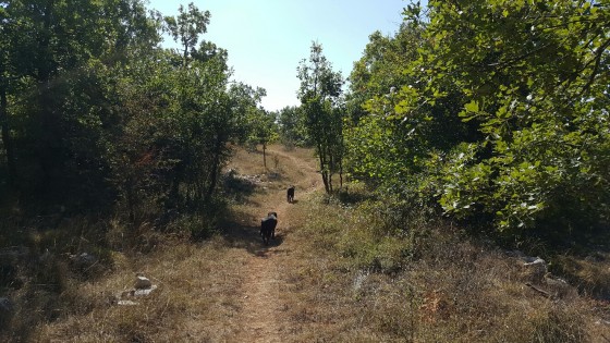 Chemin vers le Jas Jausserand