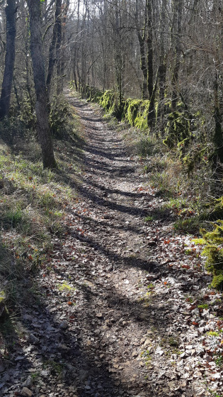 Chemin