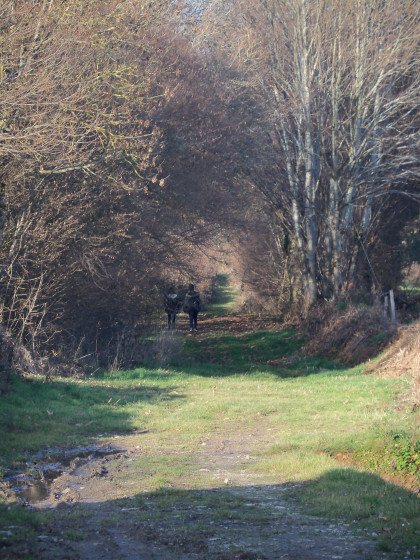 chemin