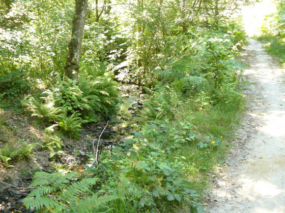 Chemin