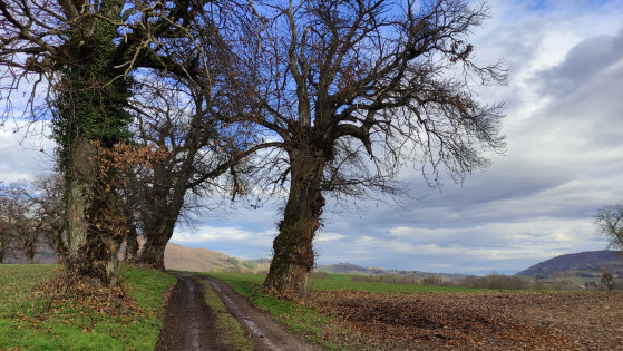 Chemin