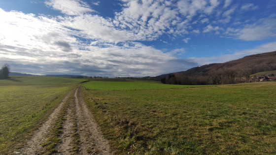 Chemin