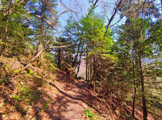 Chemin