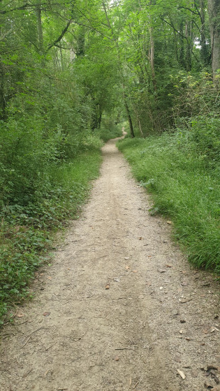 Chemin