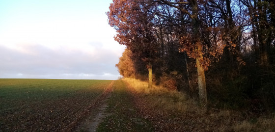 Chemin