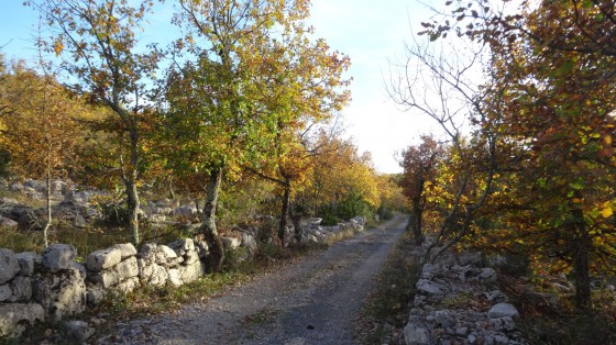 Chemin