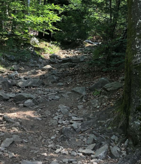 Chemin