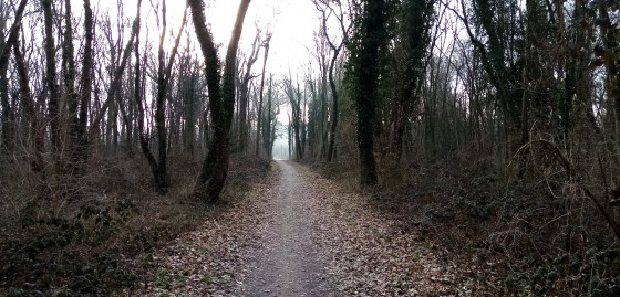 Chemin