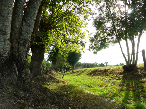 Chemin