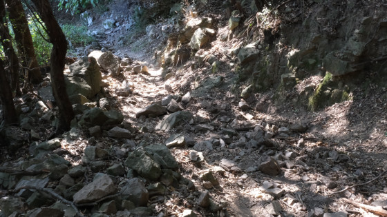 Chemin