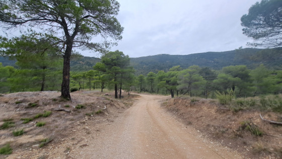 Chemin
