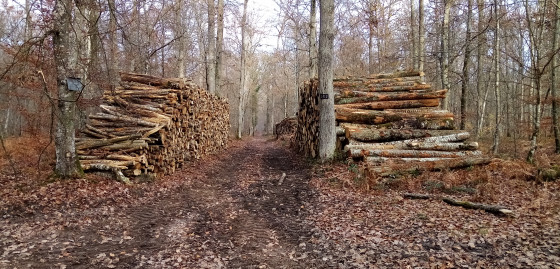 Chemin