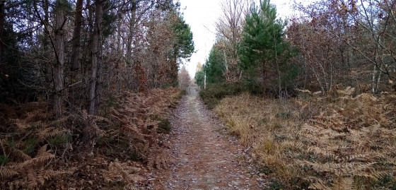 Chemin Chemin