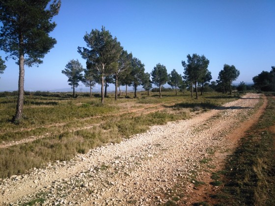 Chemin