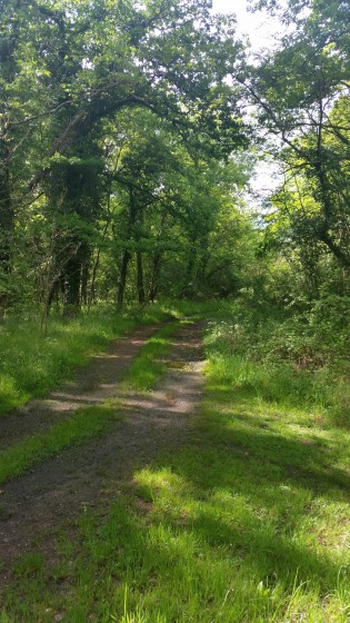Chemin