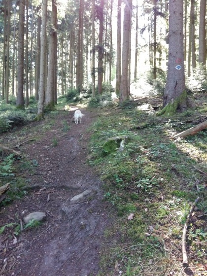Chemin