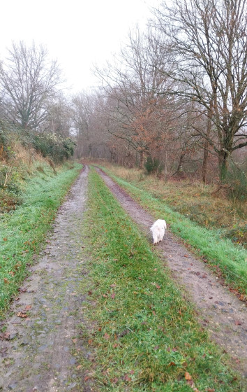 Chemin