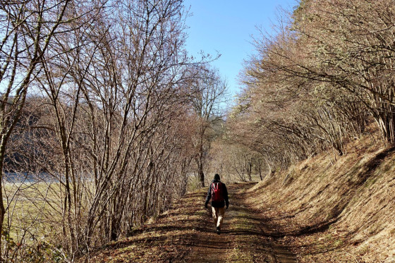 Chemin...