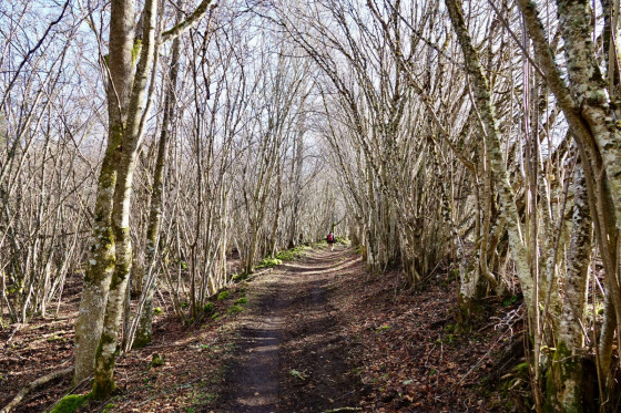 Chemin...