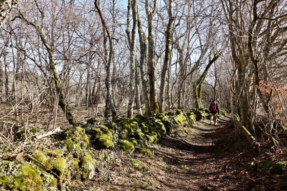 Chemin...