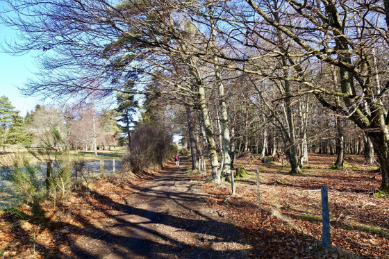 Chemin...