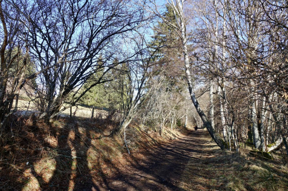 Chemin...