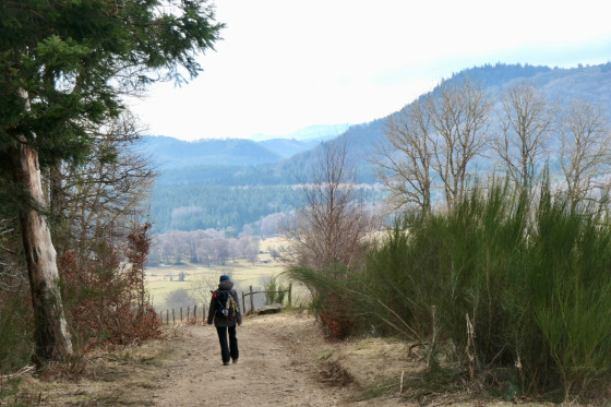 Chemin...